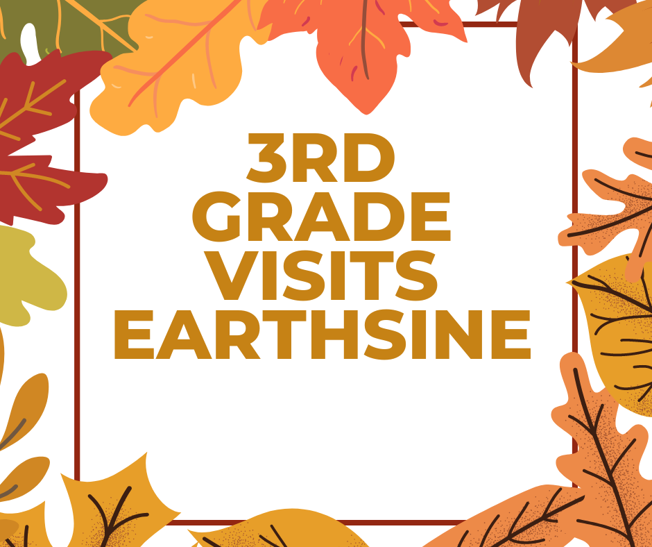 3_Earthsine