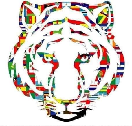 International Festival Tiger