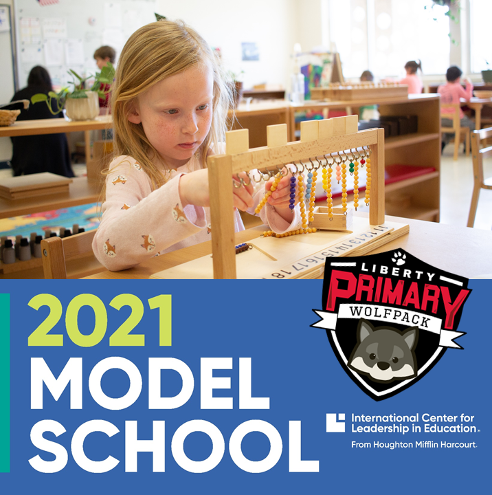Model Schools