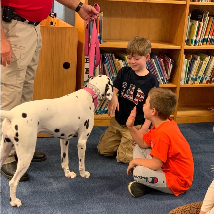 student let Dalmatian, Kendal from the fire department  