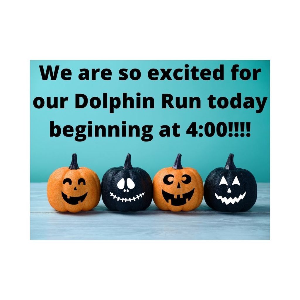 Pumpkin post dolphin run at 4:00 today!