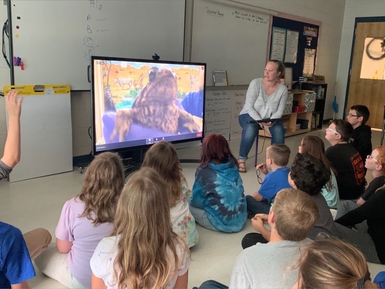 The students in Mrs.Kilby and Ms. Bosch's classes had a video chat with the North Carolina Zoo. They learned about metamorphosis of frogs and toads, preservation of the Carolina Gopher Frog, and other fun information.