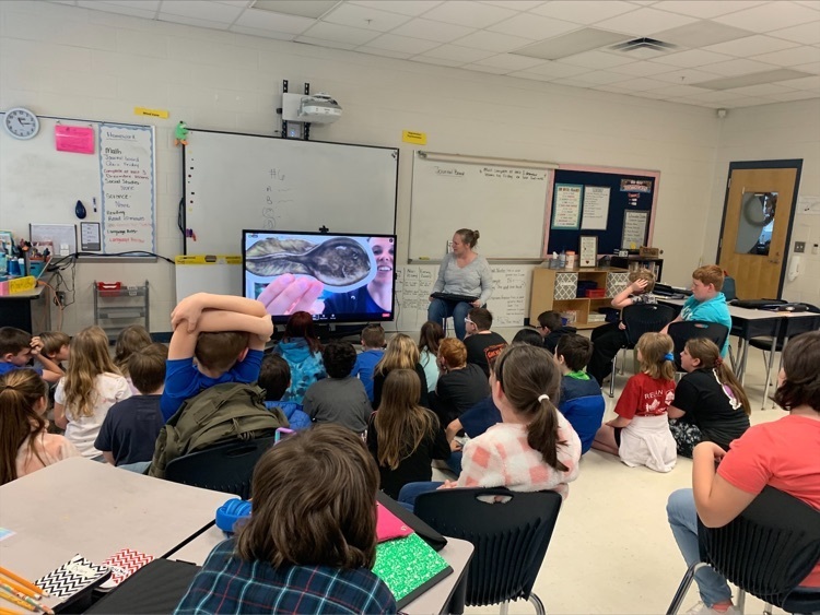The students in Mrs.Kilby and Ms. Bosch's classes had a video chat with the North Carolina Zoo. They learned about metamorphosis of frogs and toads, preservation of the Carolina Gopher Frog, and other fun information.