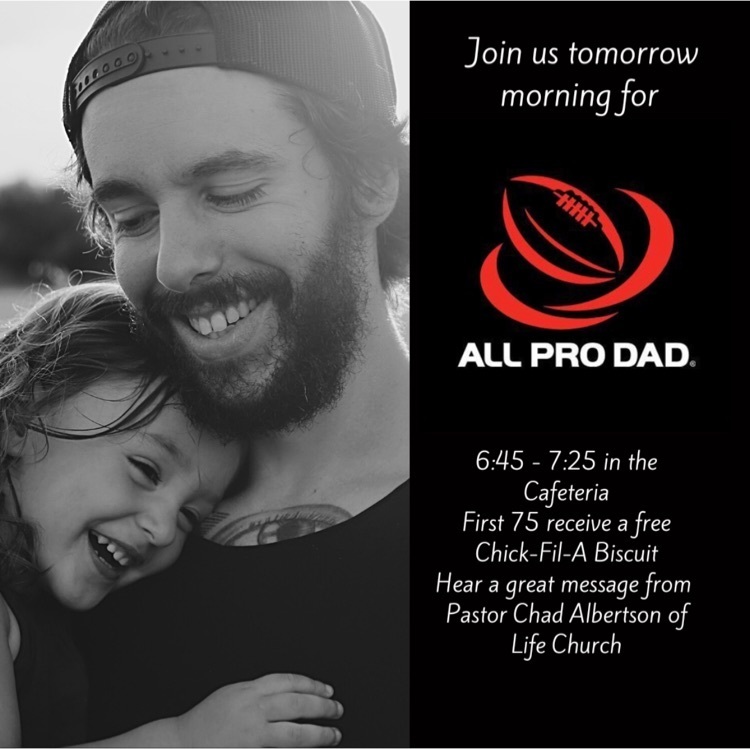 all pro dad