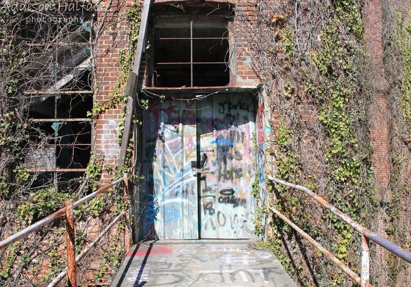 AP Photo students hit the streets and shot some cool Urban Decay photos in the area. Congrats to Addison Halfacre who won this class challenge and received the most peer votes.