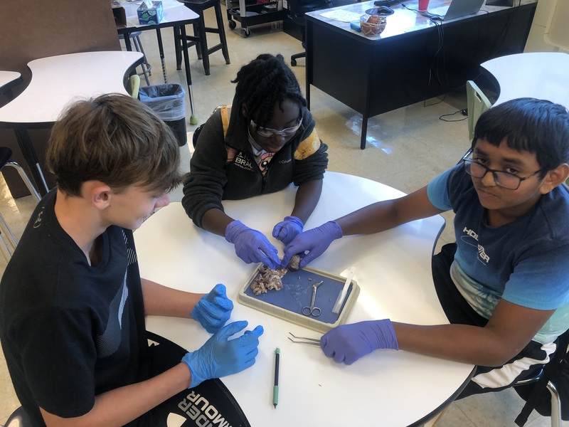 Medical Detectives Dissect Eyes | R.H. Gettys Middle School