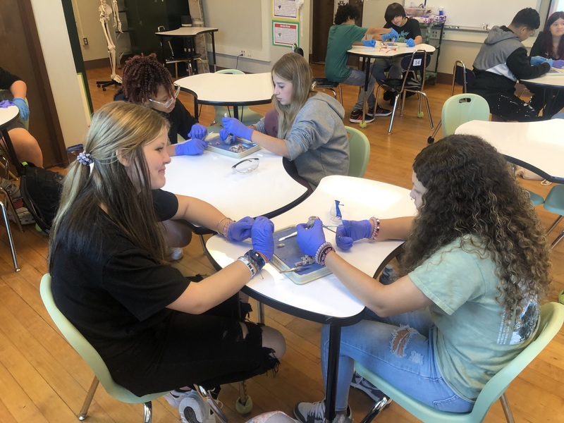 Medical Detectives Dissect Eyes | R.H. Gettys Middle School